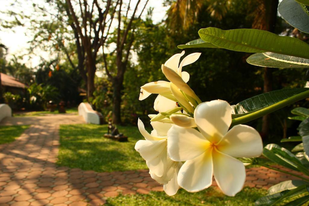Secret Garden Chiangmai Hotel San Kamphaeng Eksteriør billede